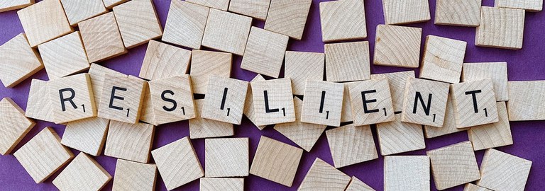 Resilienz