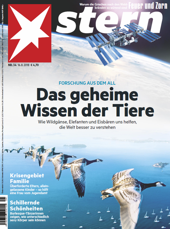 Stern_Magazin_Titelbild.png