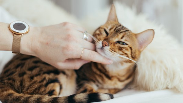 paul-hanaoka-C0zDWAPFT9A-unsplash Paul Hanaoka.jpg