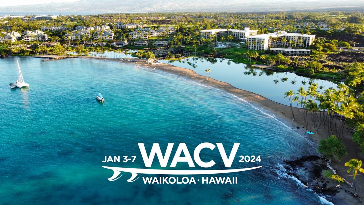 Publication presented at WACV2024