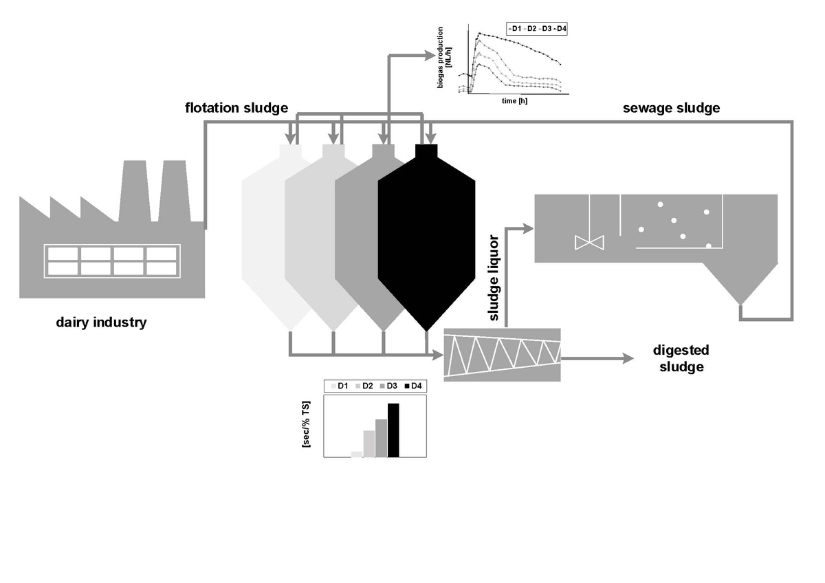 Residues from the dairy industry as co‐substrate for the flexibilization of digester operation