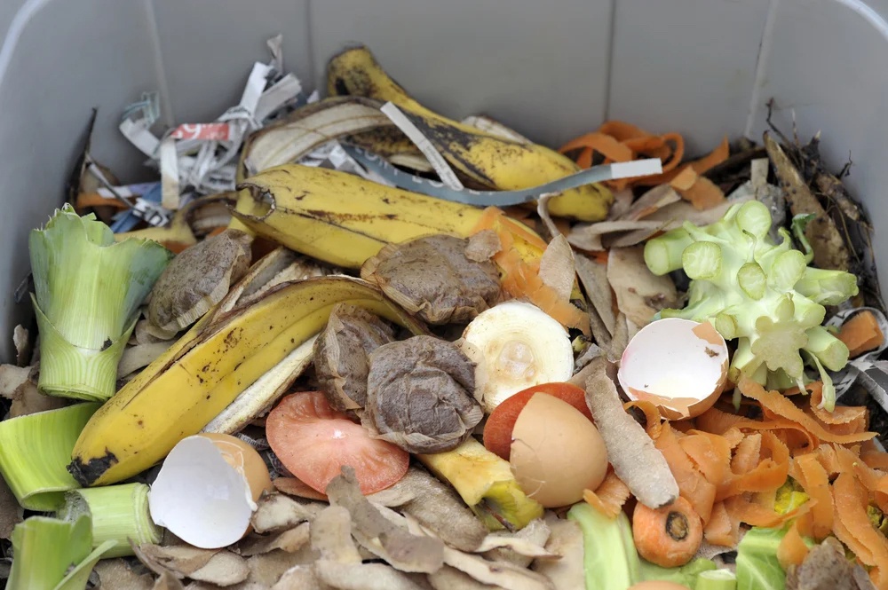 Characterization and Contamination Testing of Source Separated Organic Feedstocks and Slurries for Co-Digestion at Resource Recovery Facilities